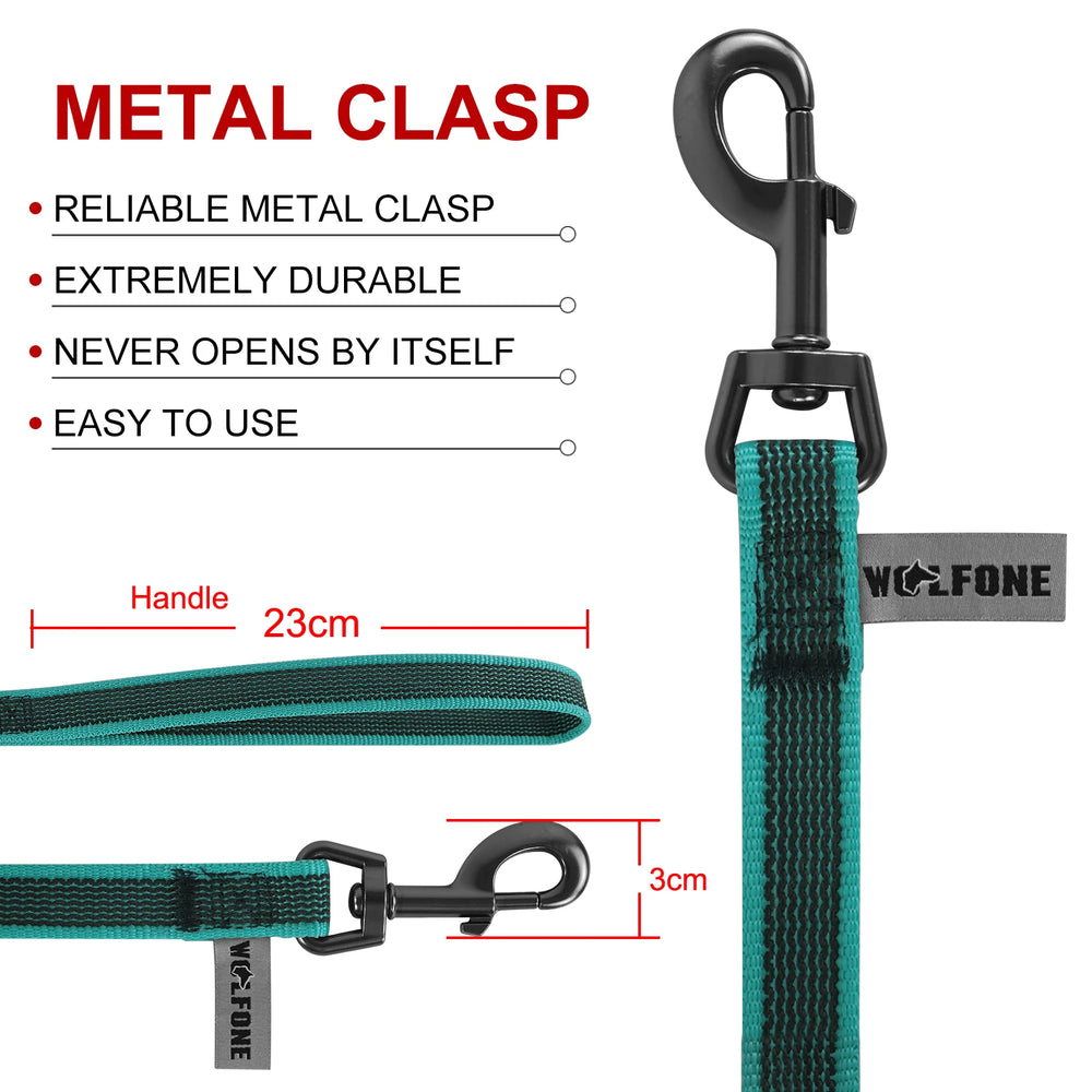 Long Dog Training Leash – 5 ft to 49 ft Recall Lead