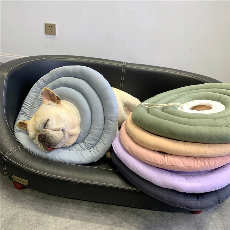 Adjustable Recovery Cone for Dogs (Elizabethan Collar)