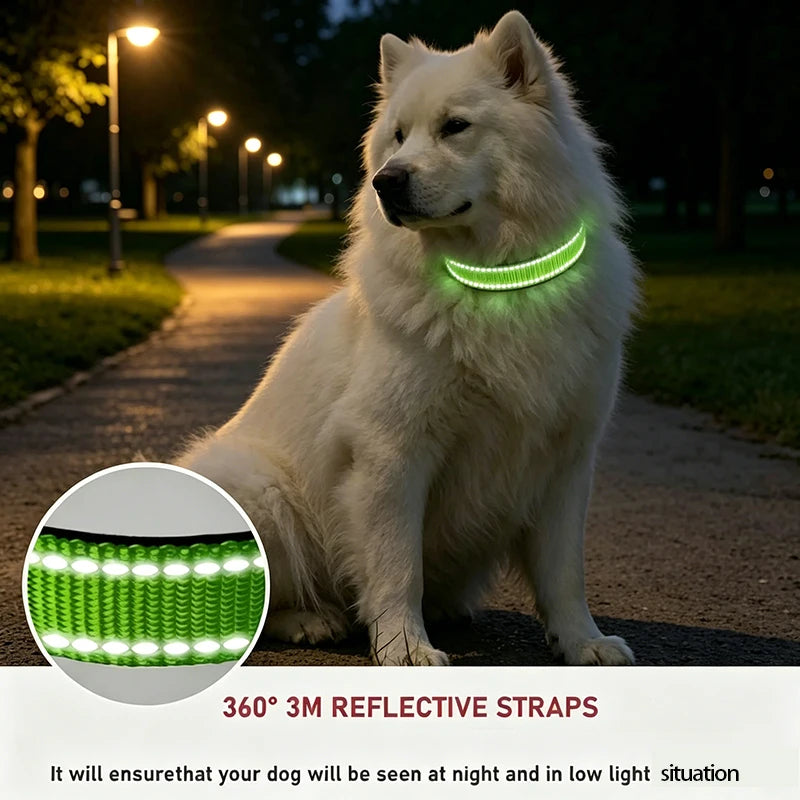 Adjustable Nylon Dog Collar for Small & Medium Dogs