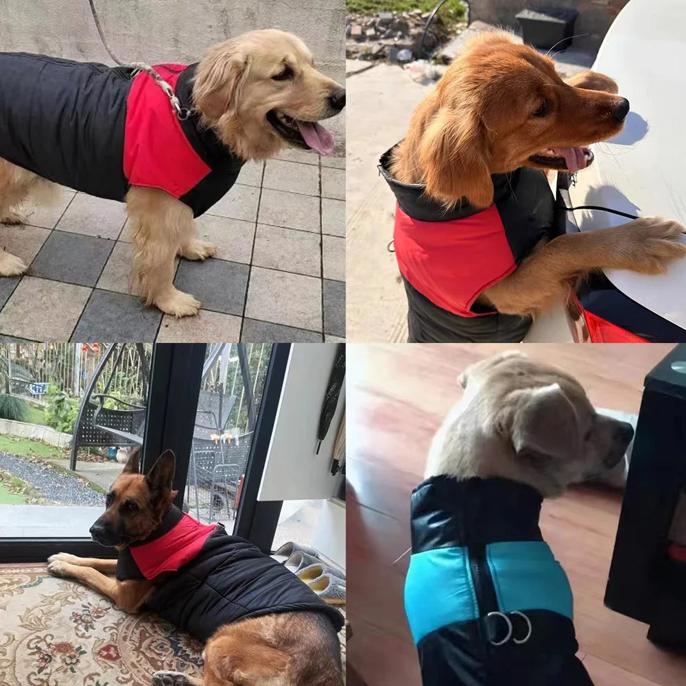 Waterproof Winter Dog Coat