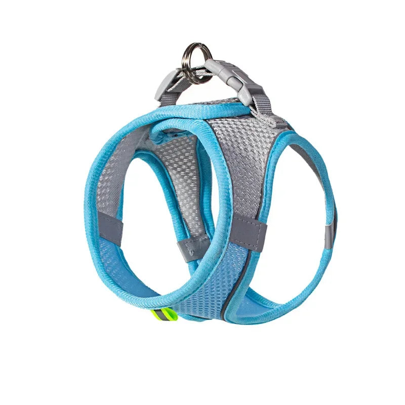 Small Dog Harness Vest