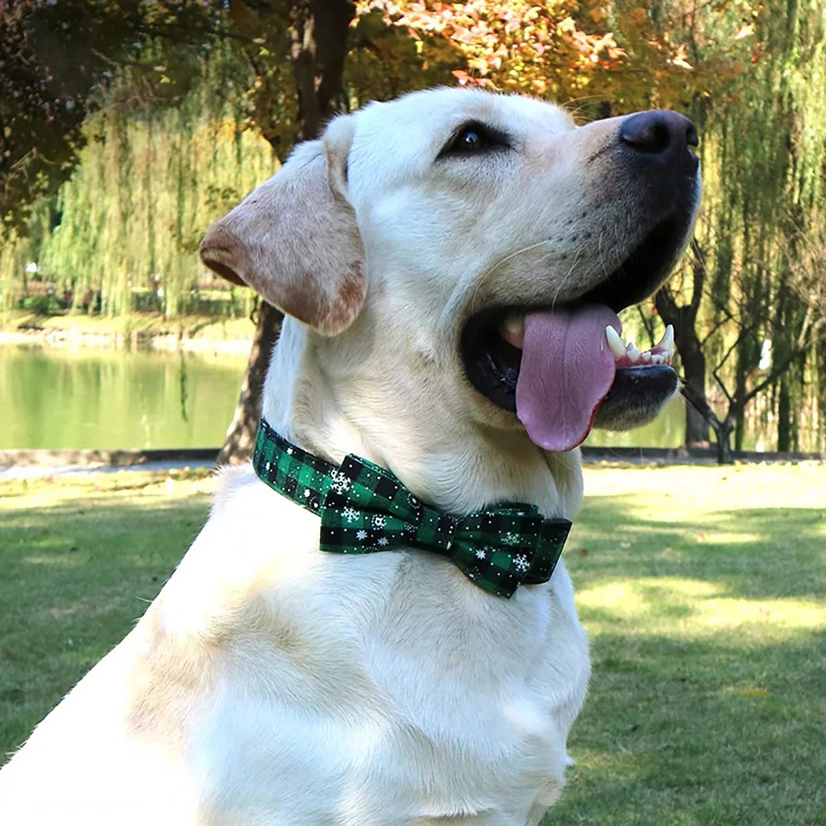 Christmas Plaid Dog Collar with Bow Tie