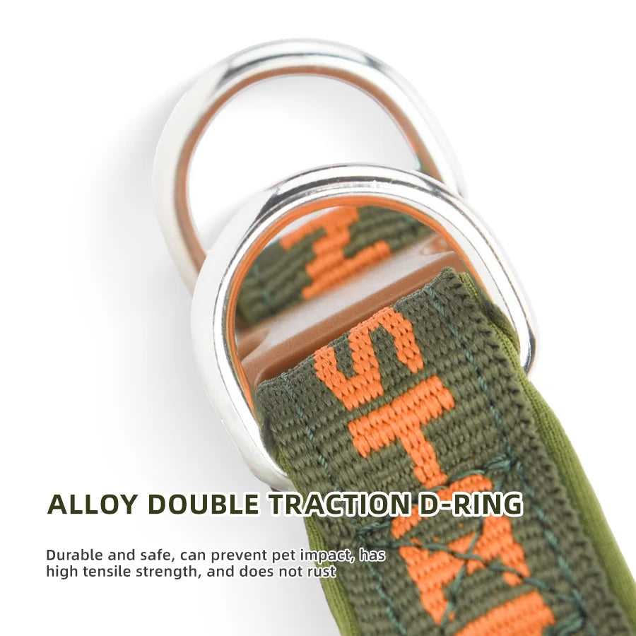 Adjustable Dog Collar with Two Metal D-Rings