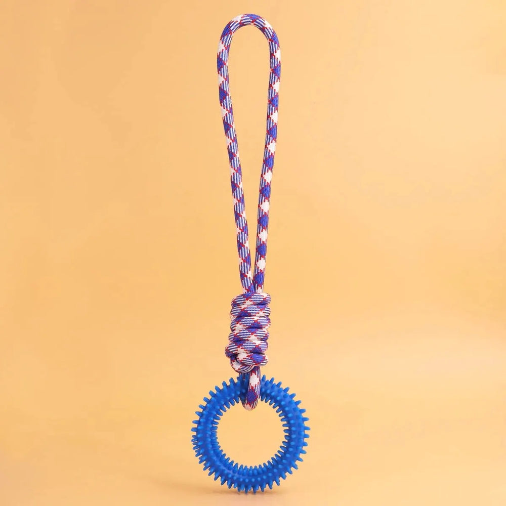 Spiked Dental Ring Dog Toy