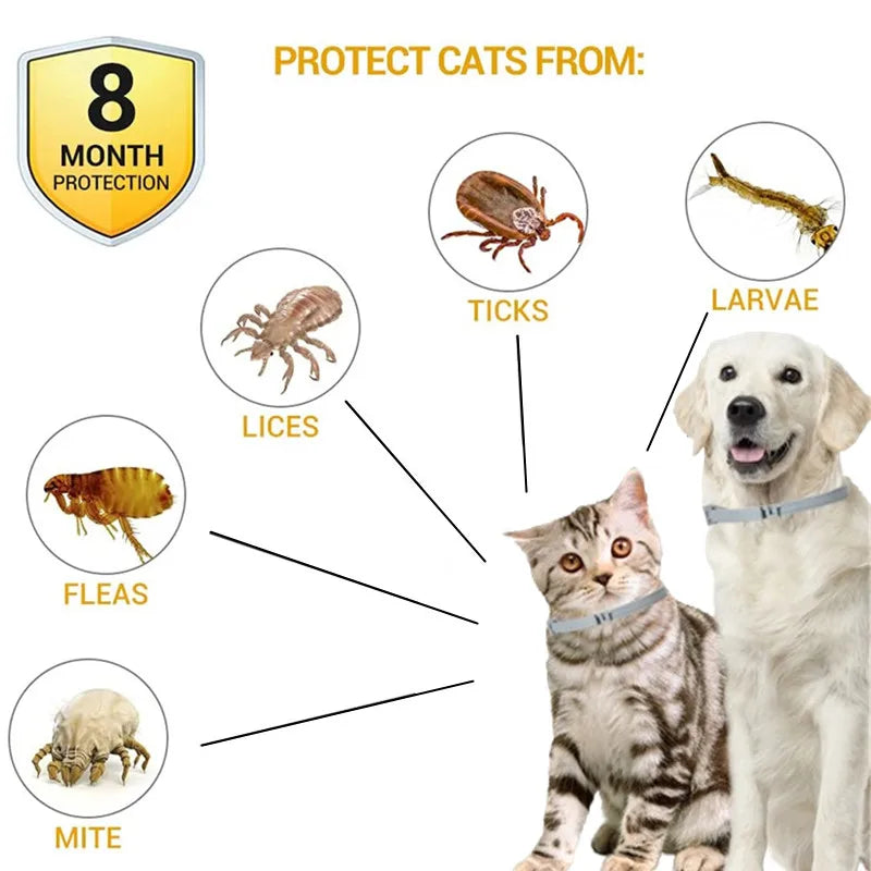Adjustable Flea Collar for Dogs