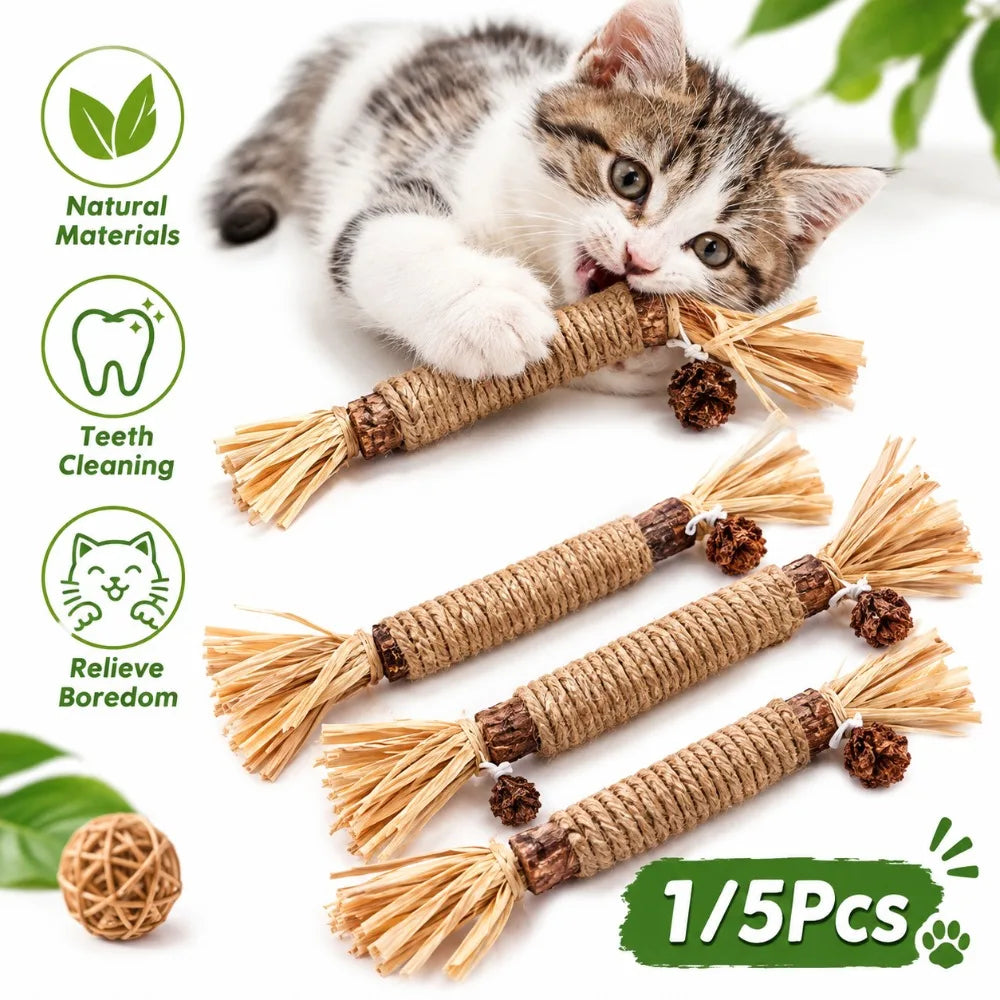 Silvervine Chew Stick for Cats – Natural Chew Toy, 1/3/5 Pack