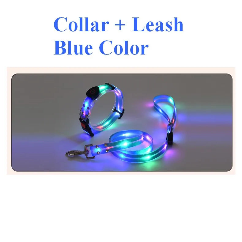 LED Light-Up Dog Leash – USB Rechargeable