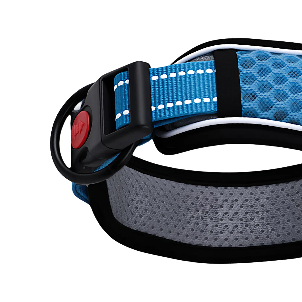 Adjustable Dog Walking Collar