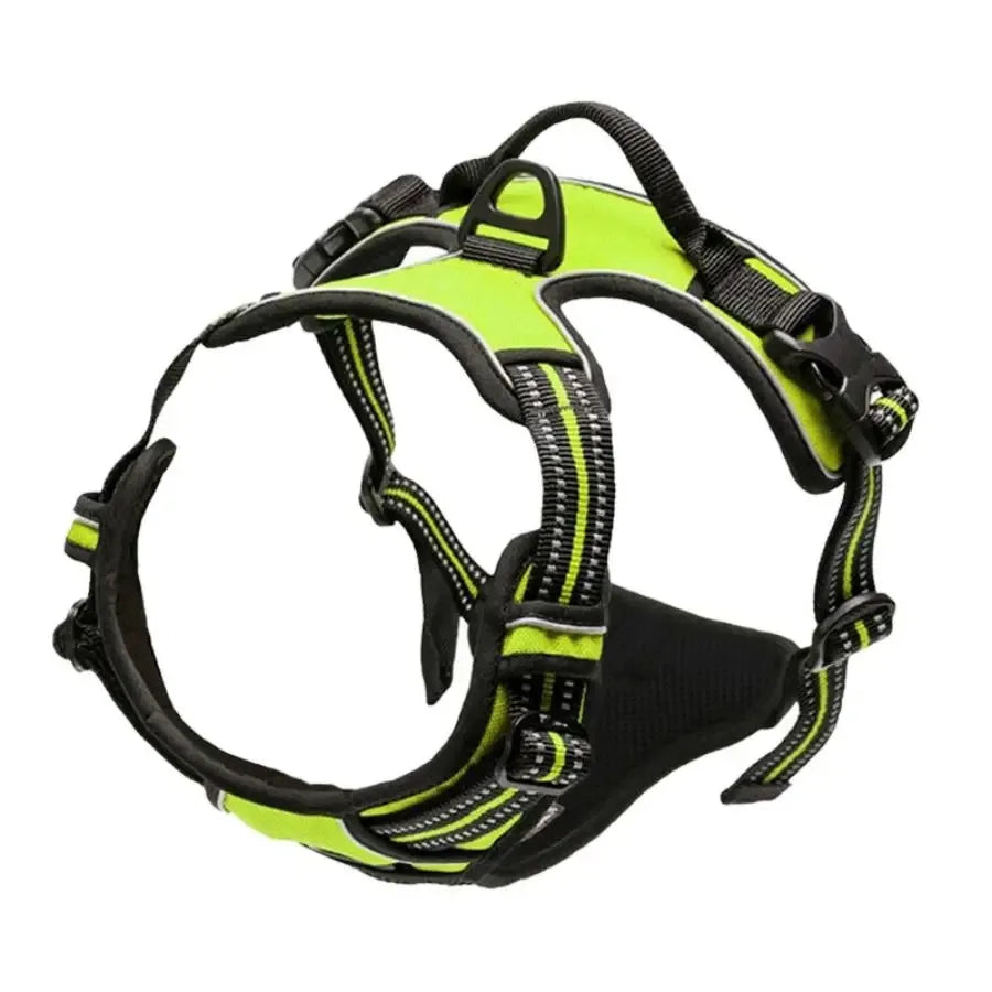 Leather Collar, Harness & Leash Set