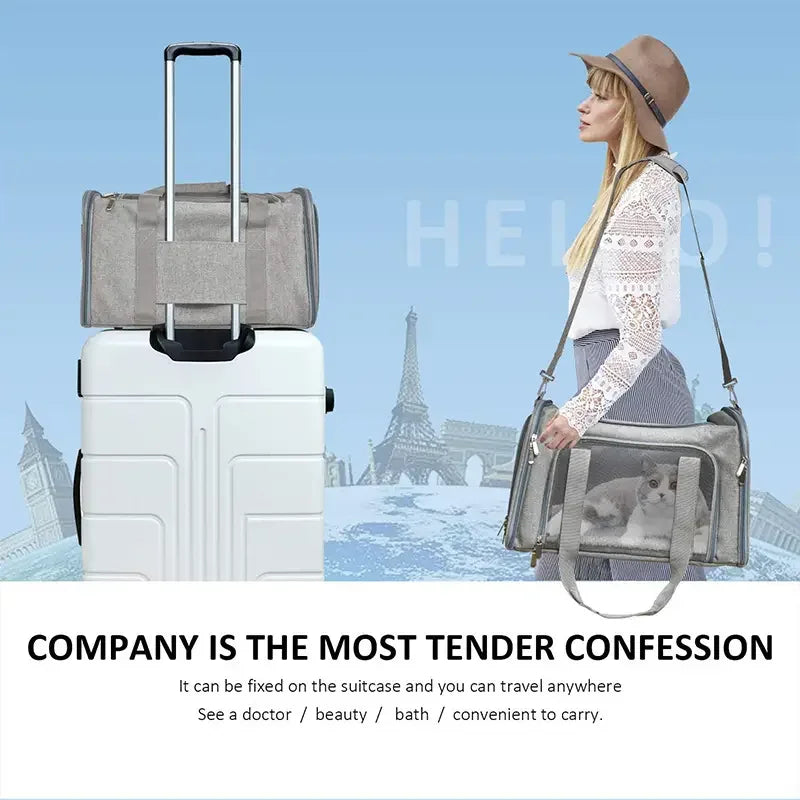 Ventilated Pet Carrier Backpack