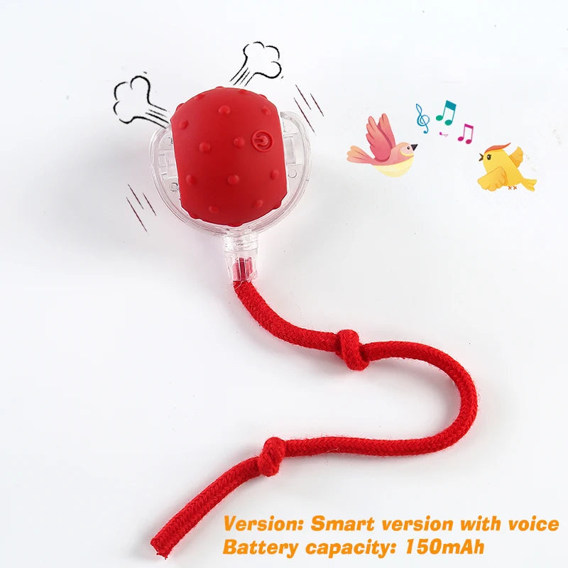Smart Interactive Dog Ball – Rechargeable