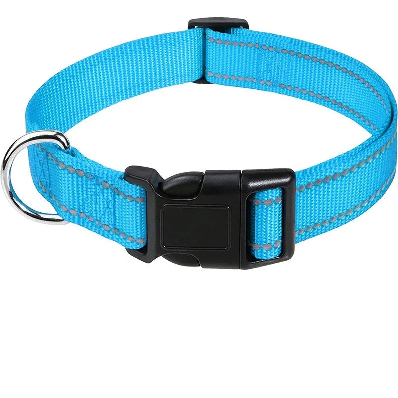 Adjustable Nylon Dog Collar for Small & Medium Dogs