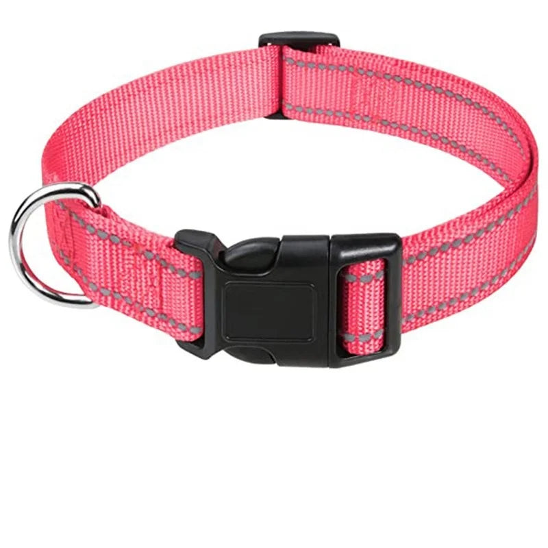 Adjustable Nylon Dog Collar for Small & Medium Dogs
