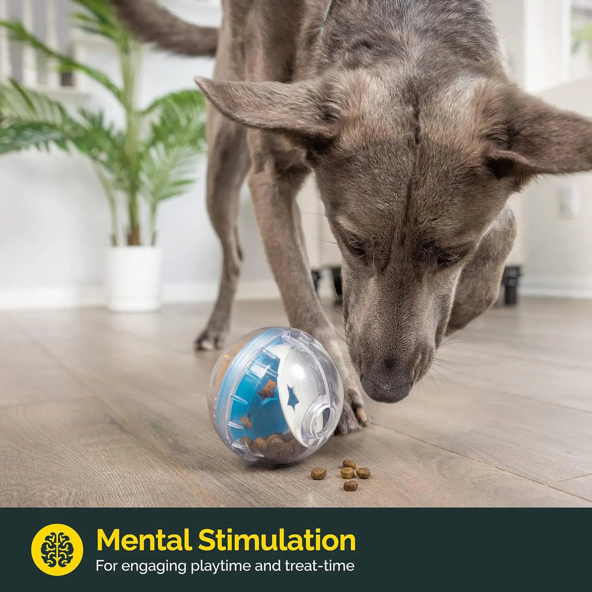 IQ Treat Ball for Dogs