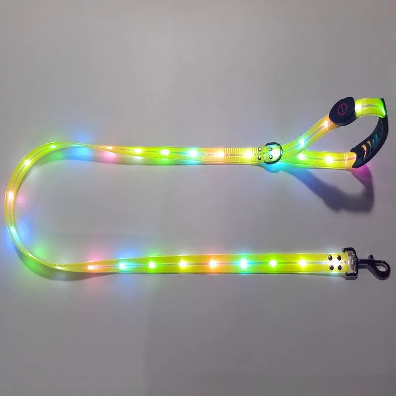 LED Light-Up Dog Leash – USB Rechargeable