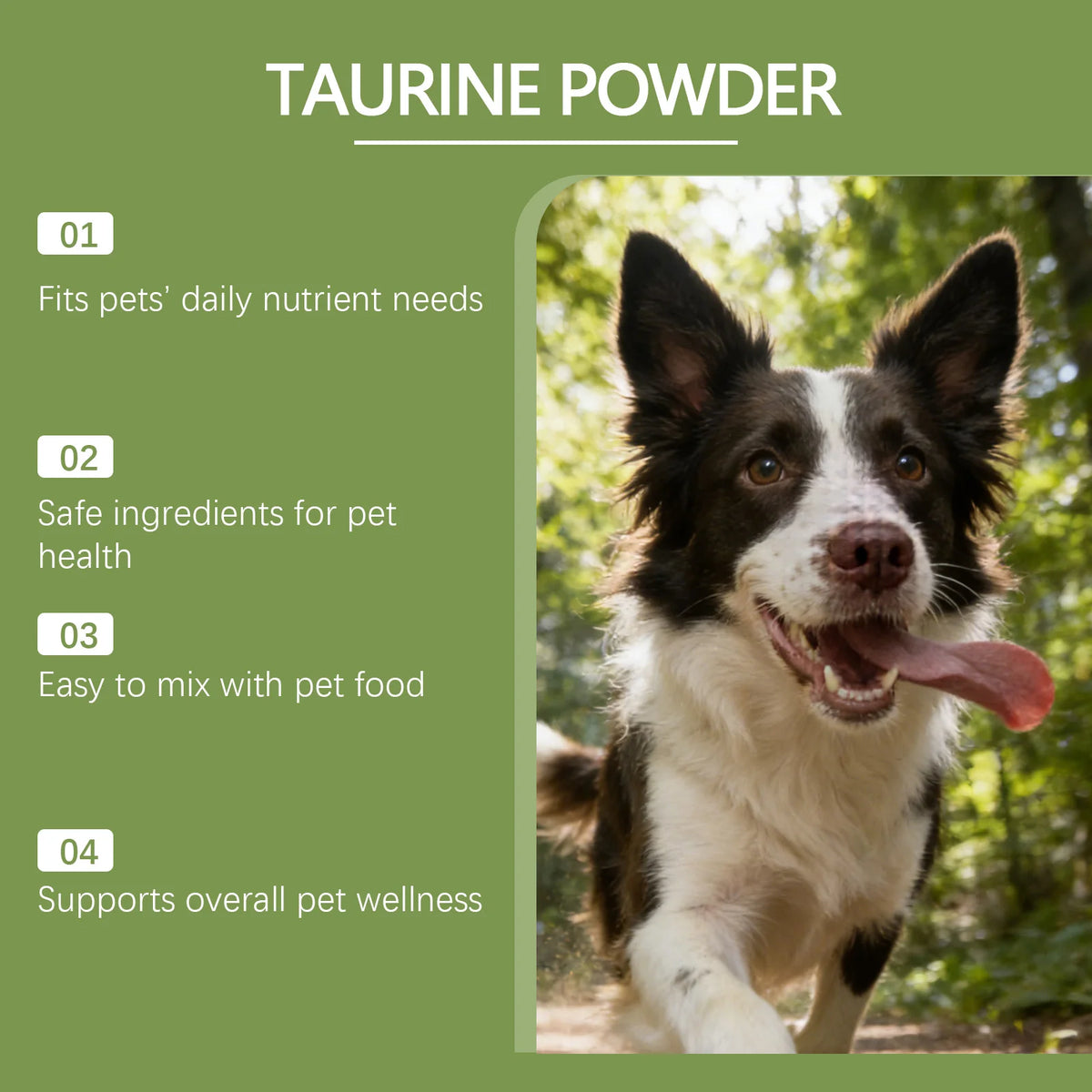 Taurine Supplement Powder for Dogs