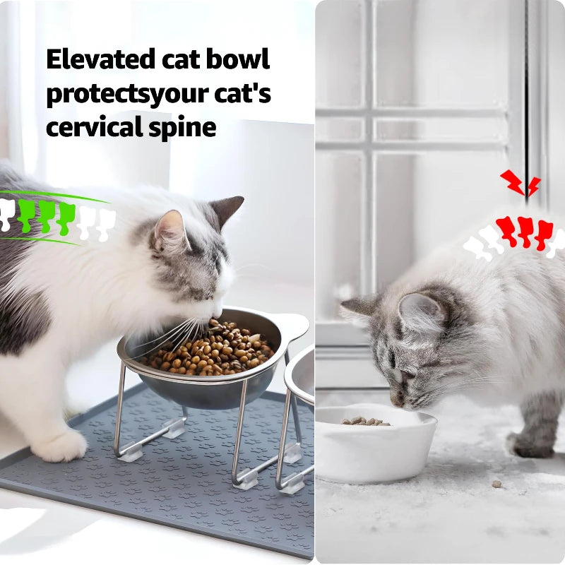 Stainless Steel Raised Cat Bowl – 15° Tilt