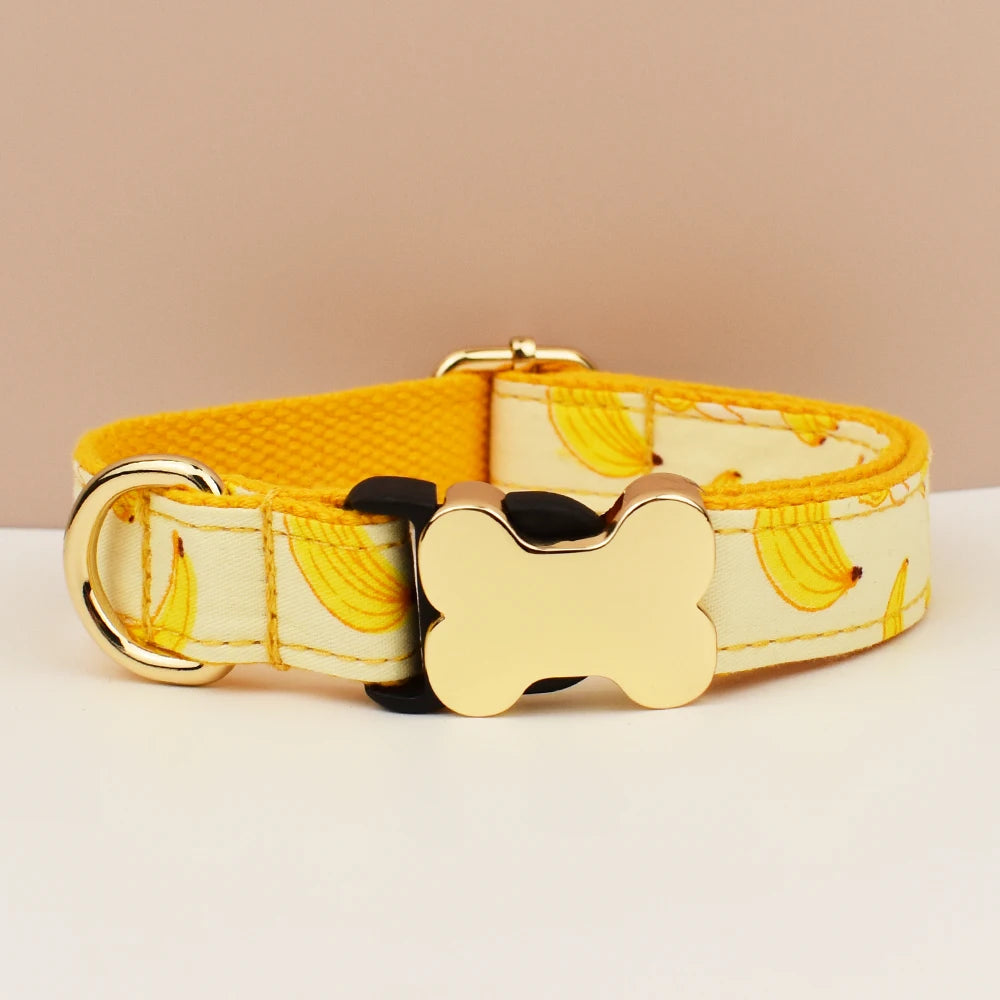 Premium Custom Engraved Dog Collar