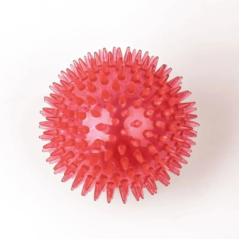 Squeaky Spiky Dental Ball