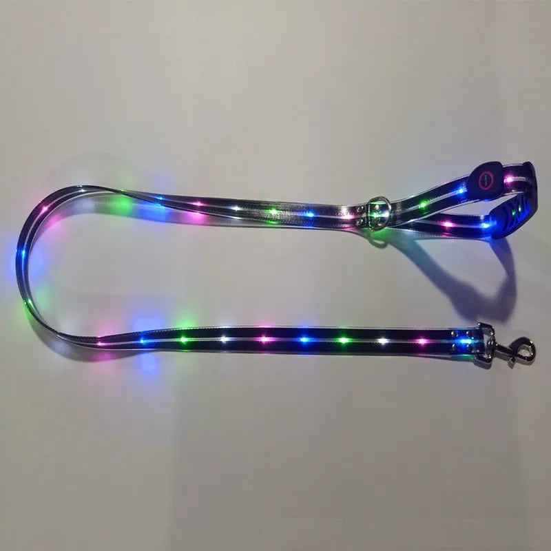 LED Light-Up Dog Leash – USB Rechargeable