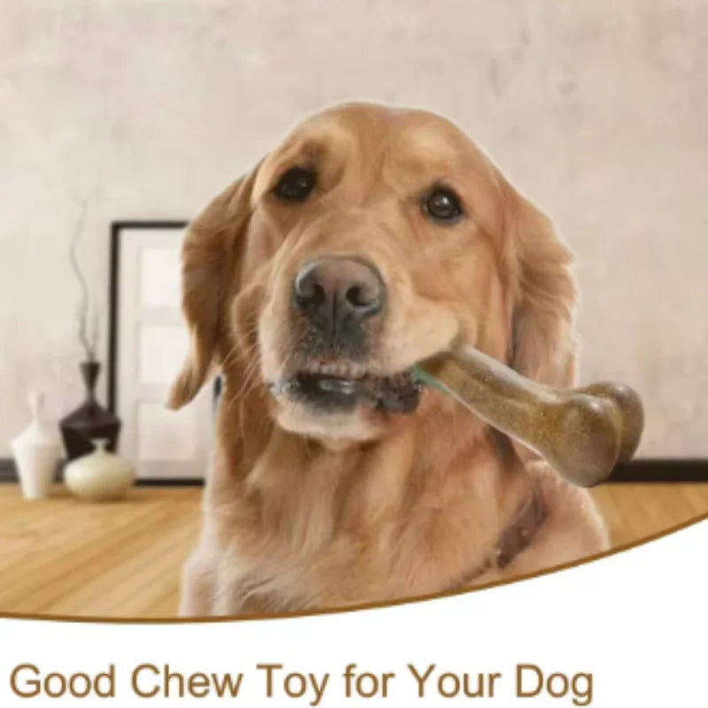 Tough Dog Bone Chew Toy