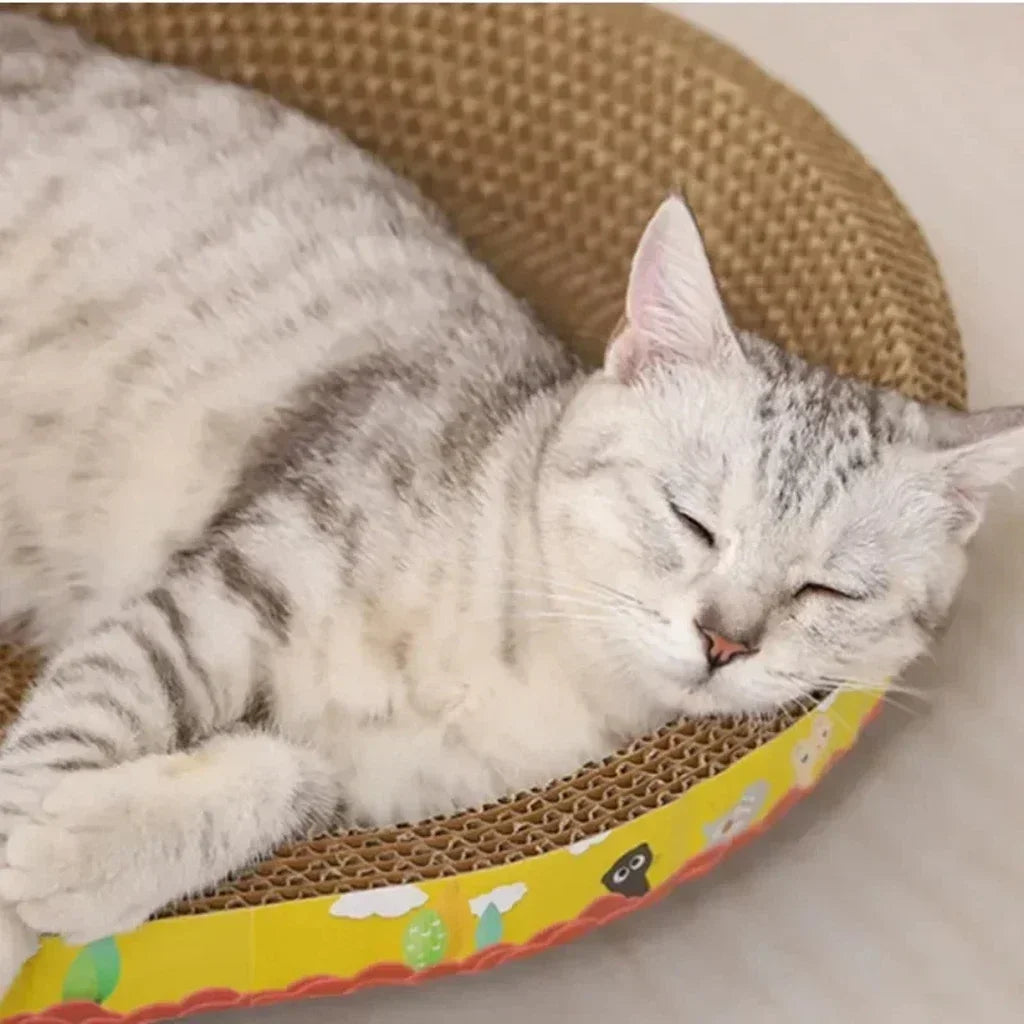 Oval Cardboard Cat Scratcher Bed
