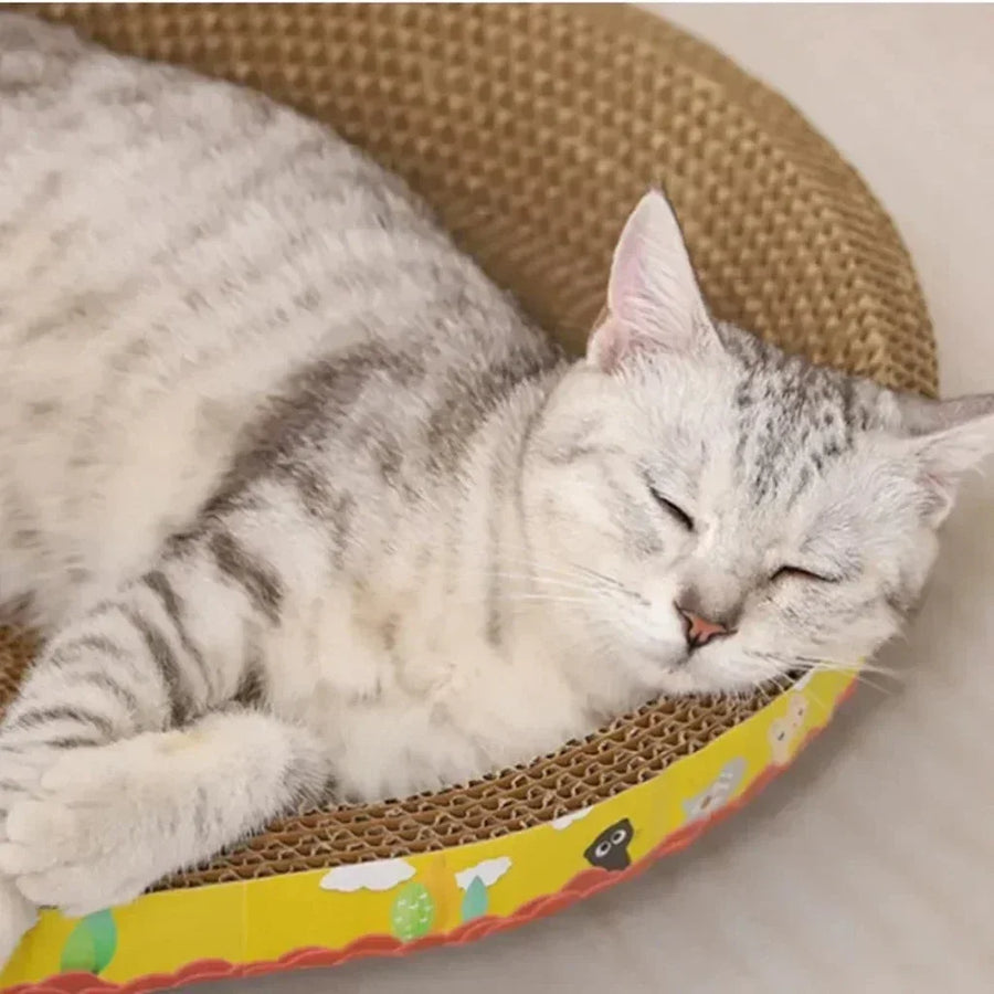 Oval Cardboard Cat Scratcher Bed