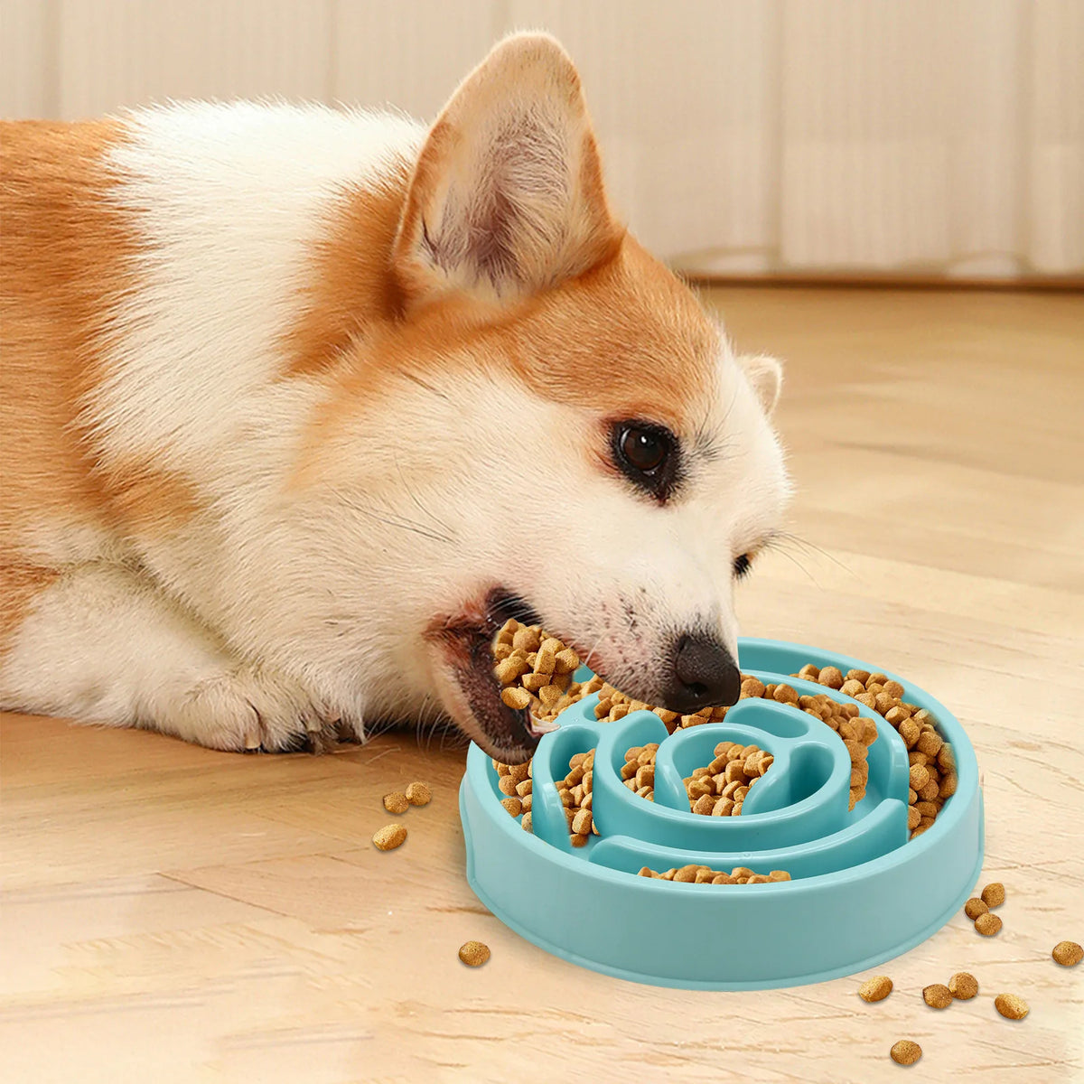 Non-Slip Slow Feeder Pet Bowl