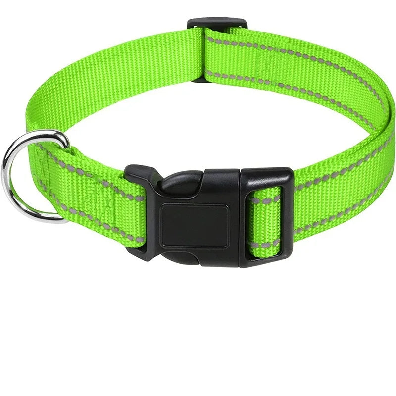 Adjustable Nylon Dog Collar for Small & Medium Dogs