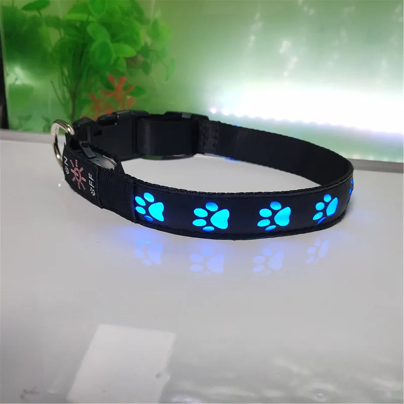 Rechargeable Light-Up Dog Collar