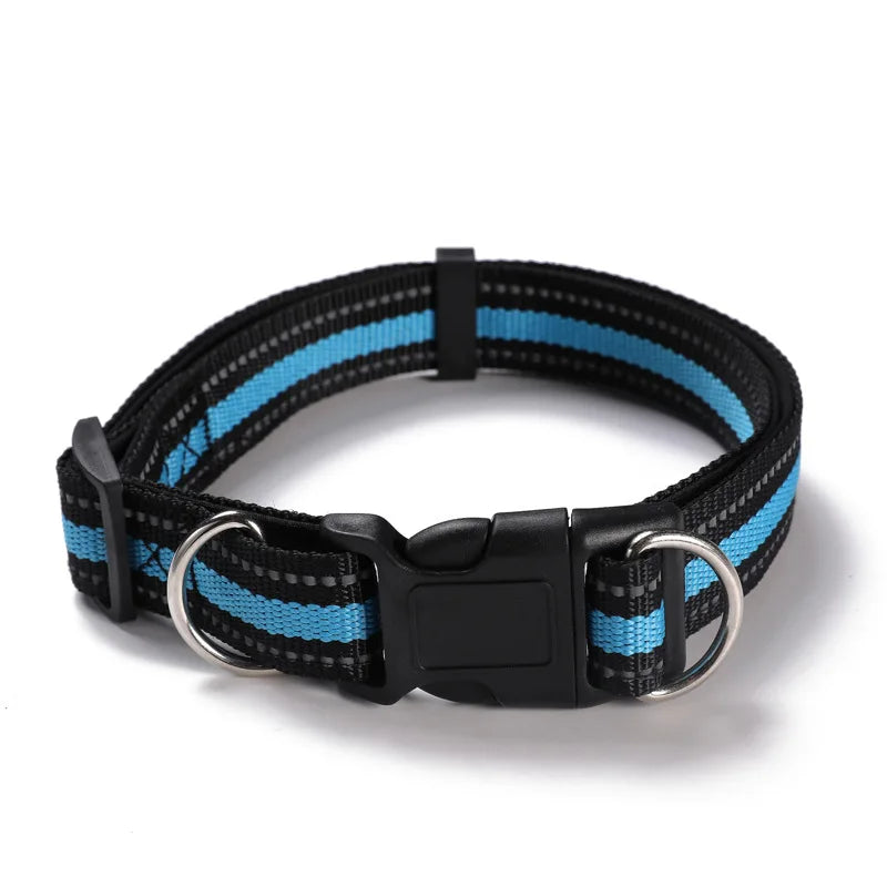 Dual D-Ring Dog Collar