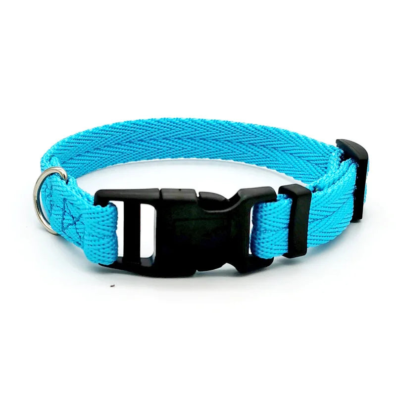 Quick-Release Dog Collar for Small & Medium Dogs