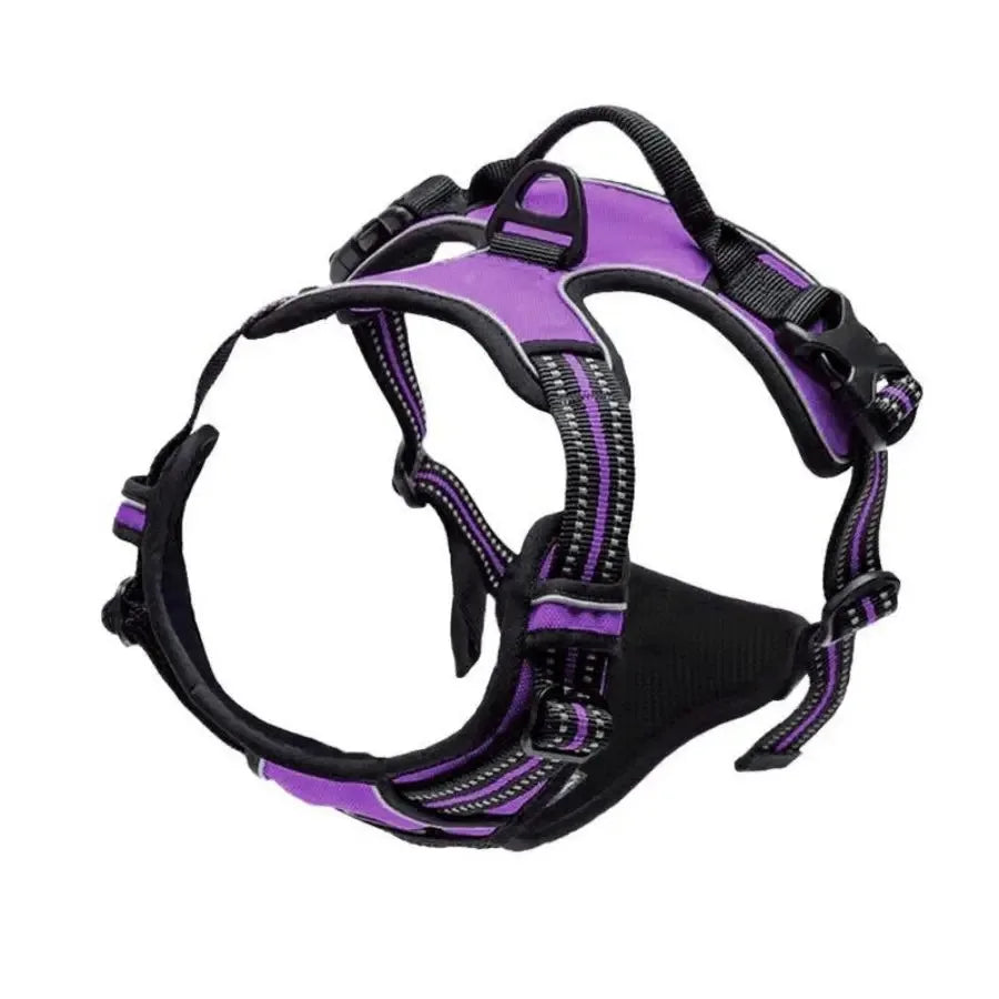 Leather Collar, Harness & Leash Set