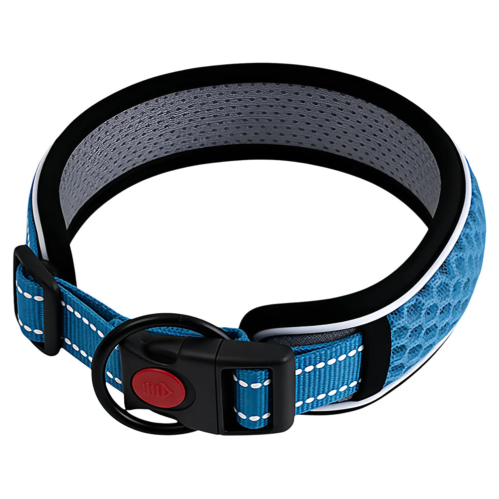 Adjustable Dog Walking Collar