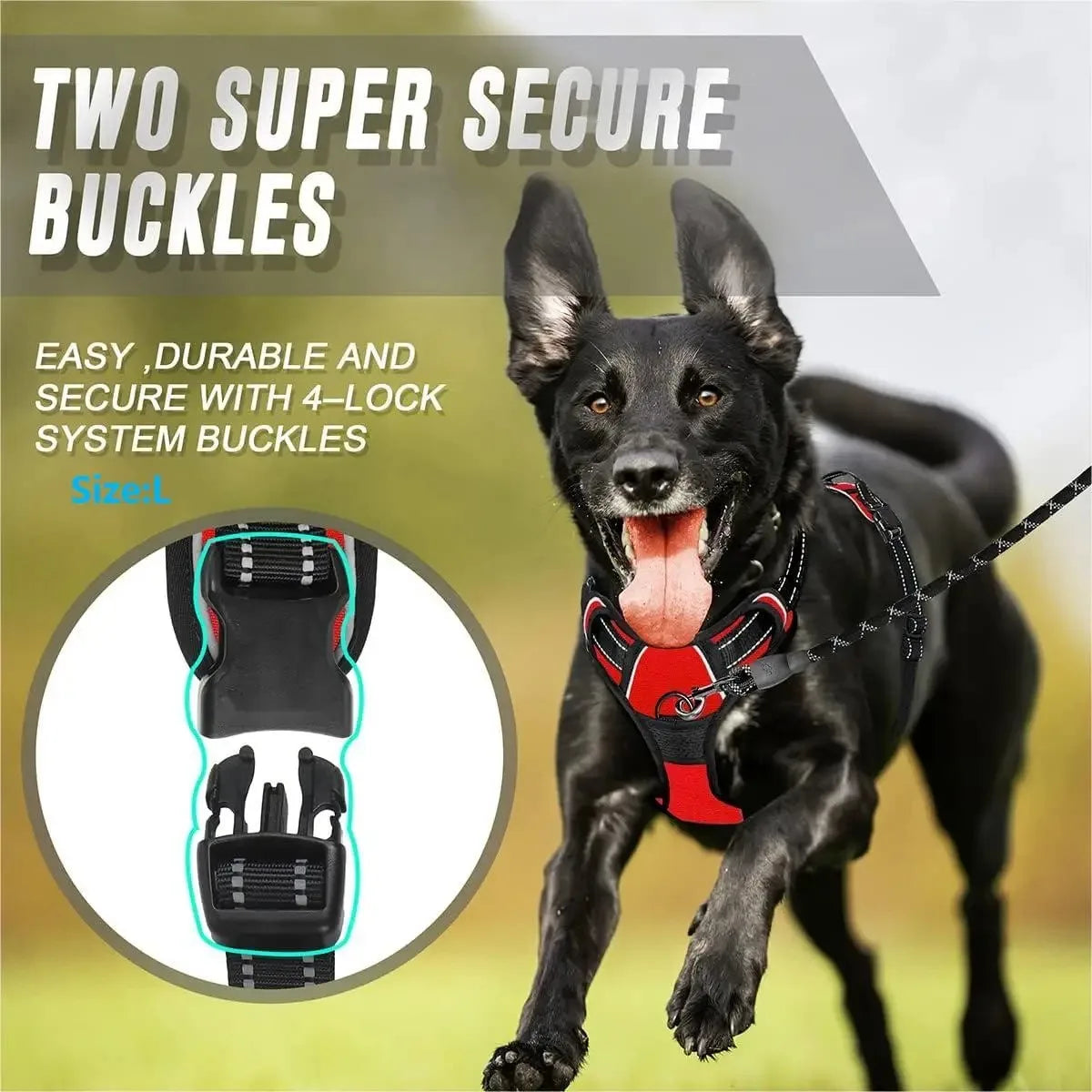 Leather Collar, Harness & Leash Set