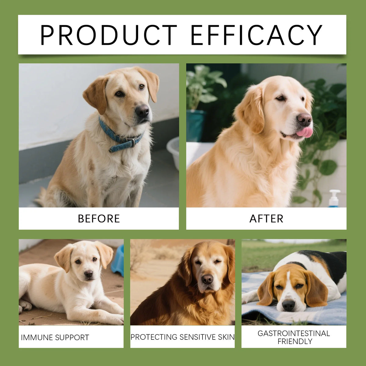 Taurine Supplement Powder for Dogs