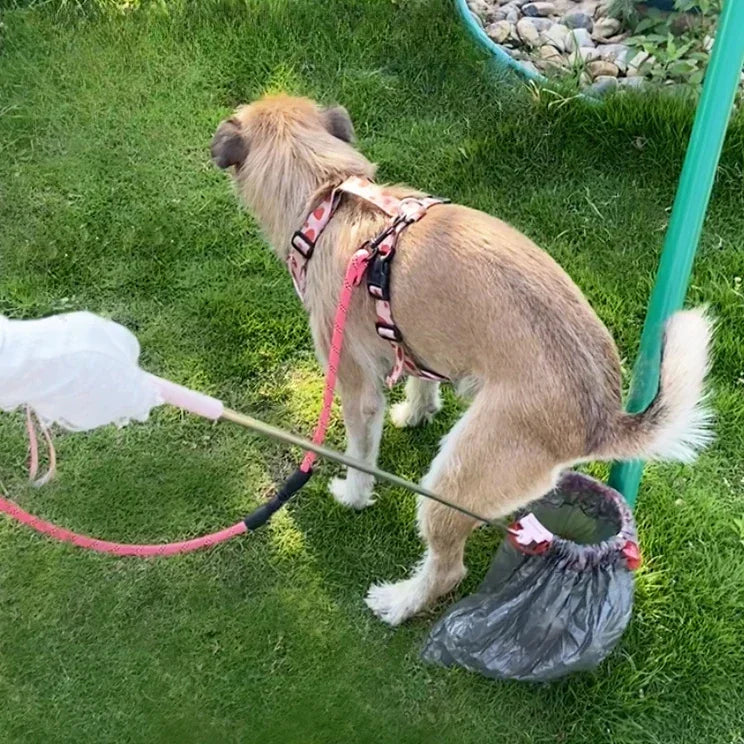 Portable dog waste collector – a convenient accessory for outdoor cleanup