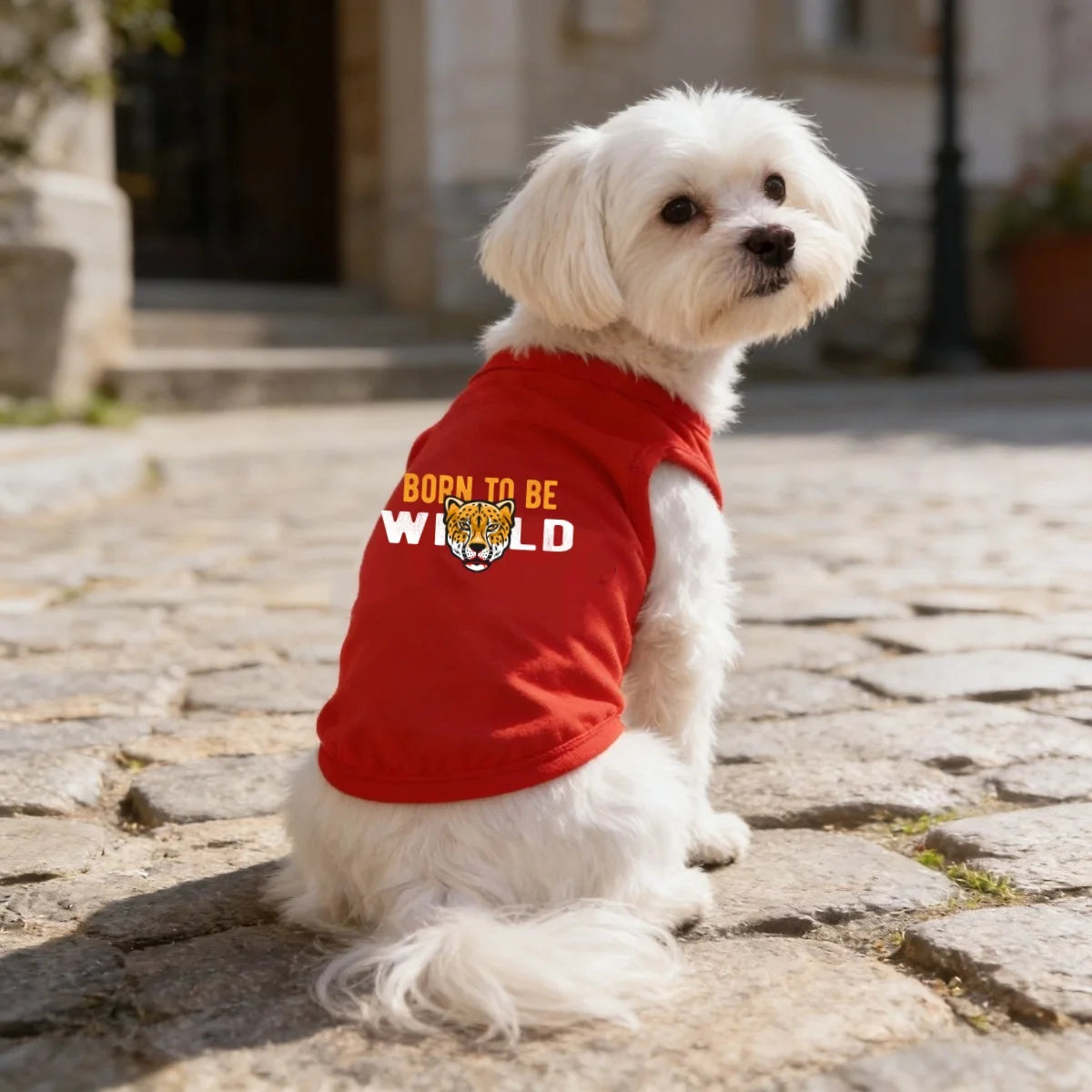 Printed Pet T-Shirt