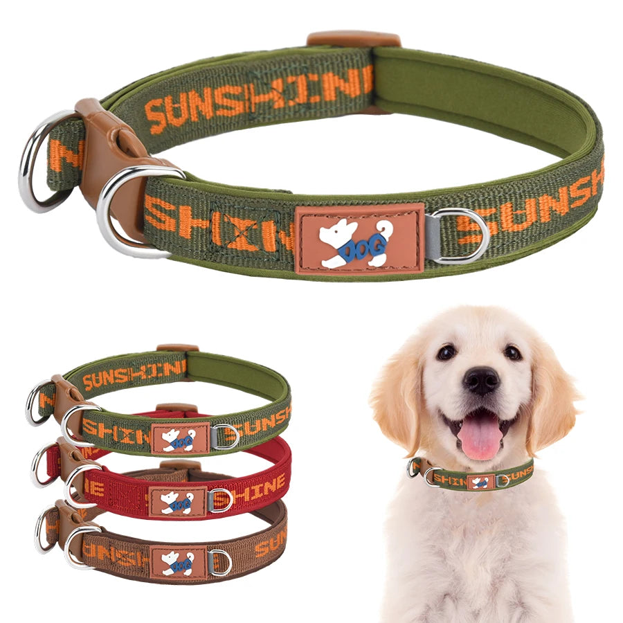 Adjustable Dog Collar with Two Metal D-Rings
