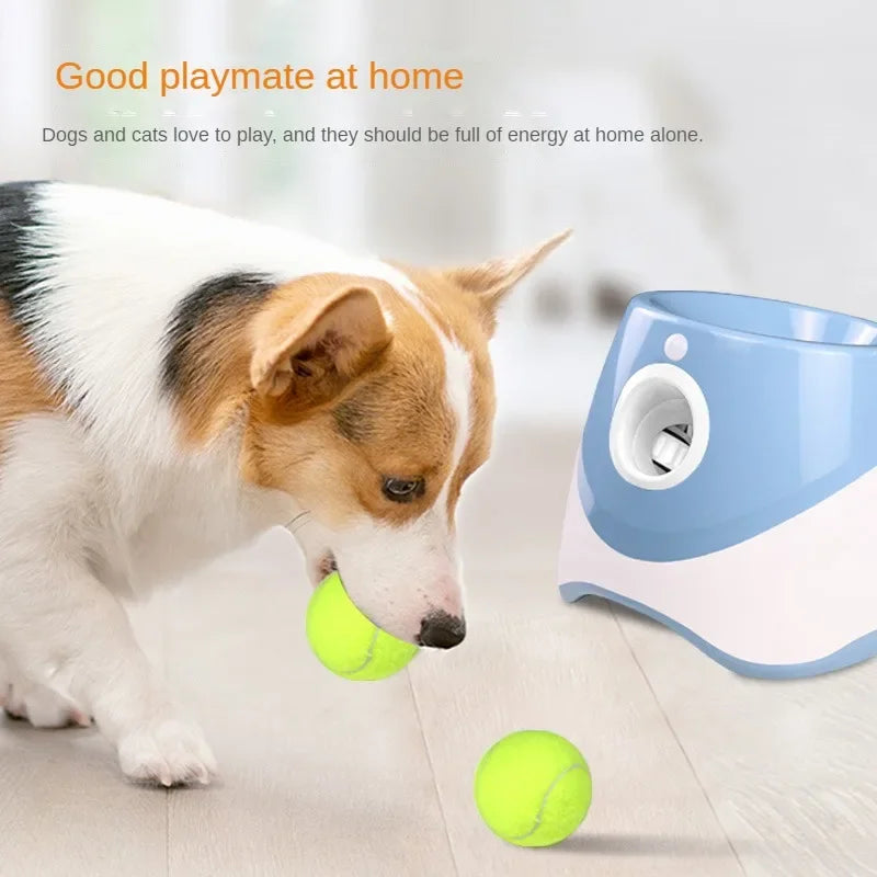 Automatic Tennis Ball Launcher for Dogs