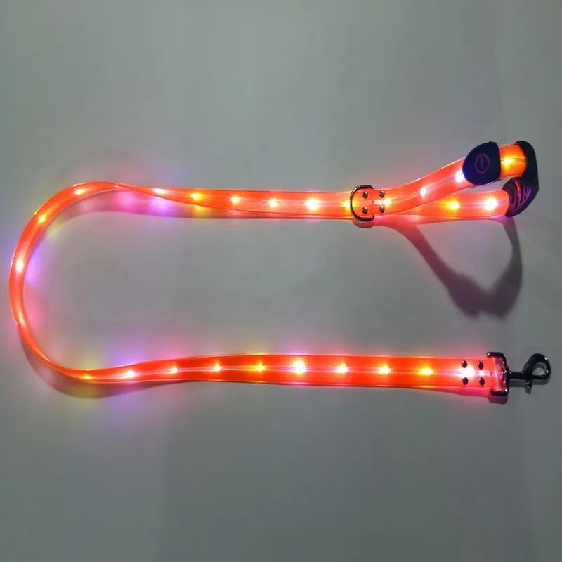 LED Light-Up Dog Leash – USB Rechargeable