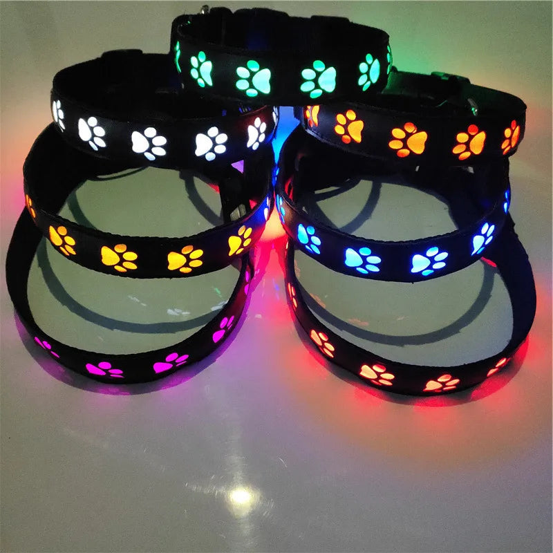 Rechargeable Light-Up Dog Collar