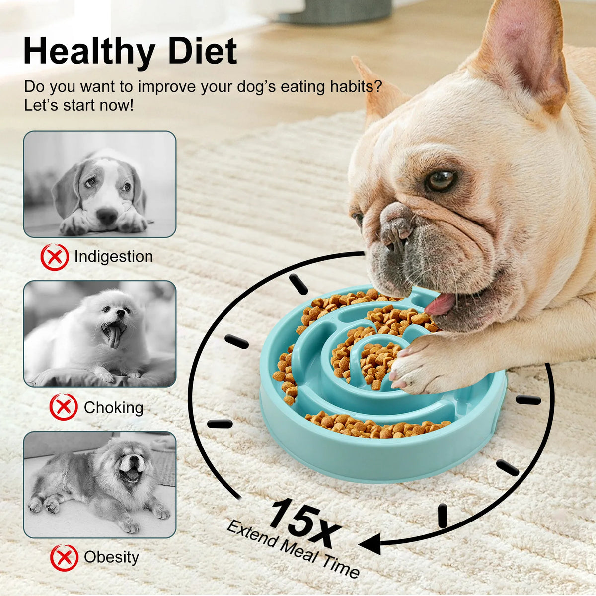 Non-Slip Slow Feeder Pet Bowl