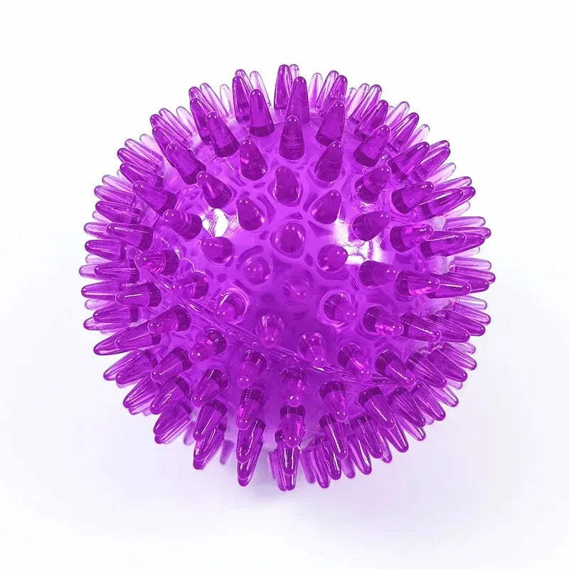 Squeaky Spiky Dental Ball