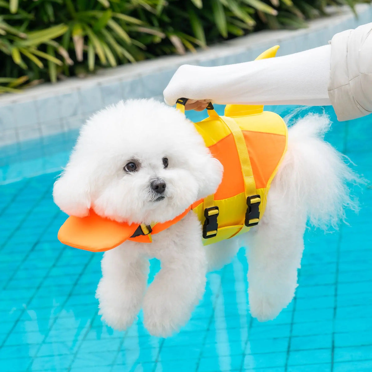 Dog Life Jacket – Swimming Safety Vest