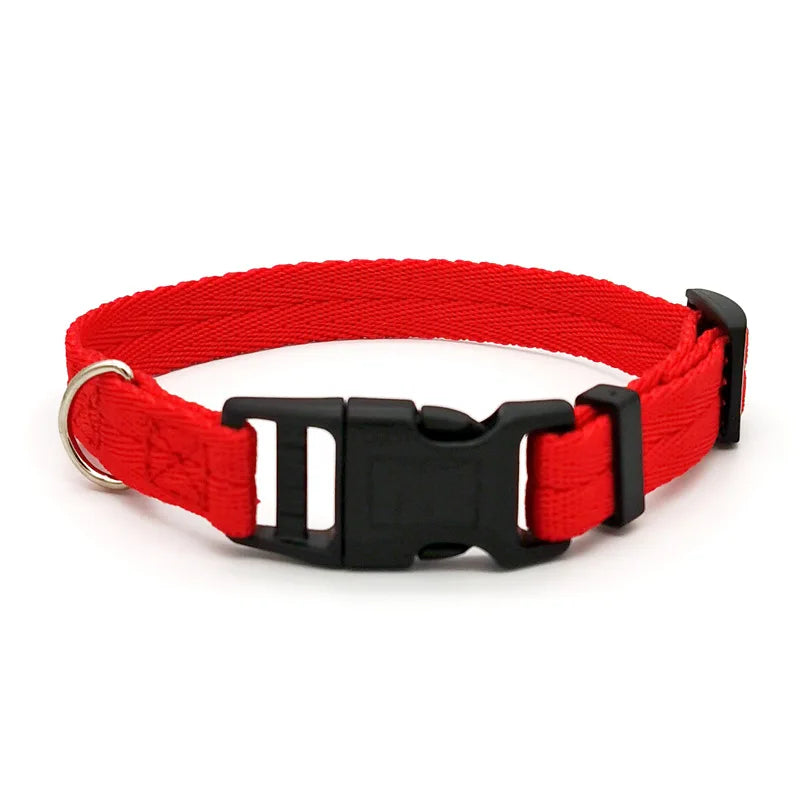 Quick-Release Dog Collar for Small & Medium Dogs