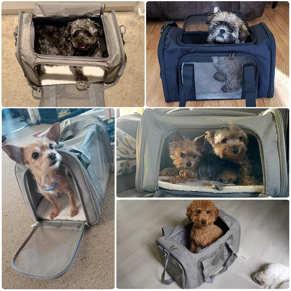 Soft-Sided Pet Carrier
