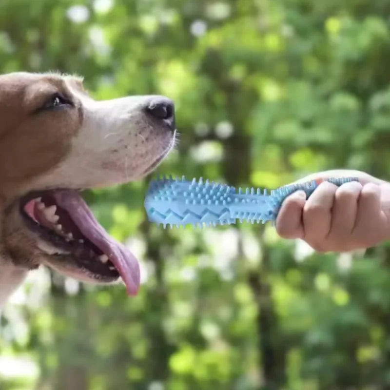 Dog Teething Chew Stick