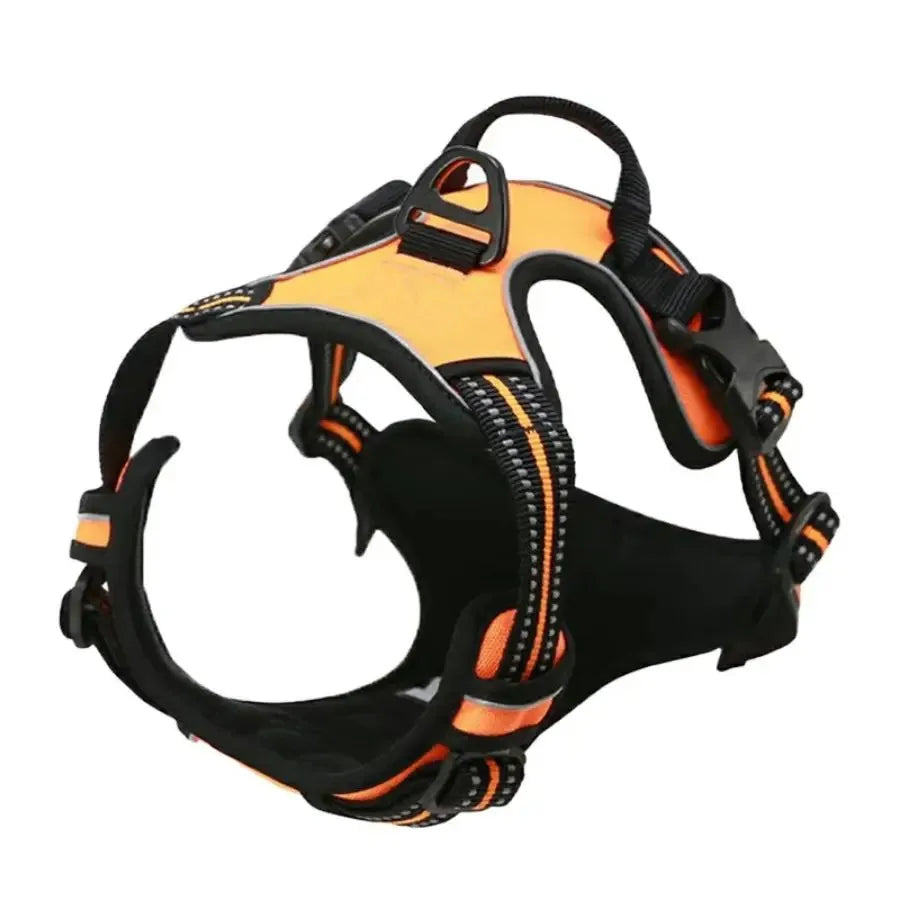 Leather Collar, Harness & Leash Set