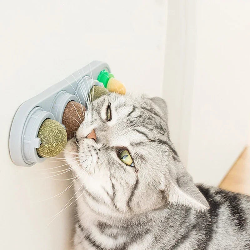 4-in-1 Silver Vine Catnip Wall Ball